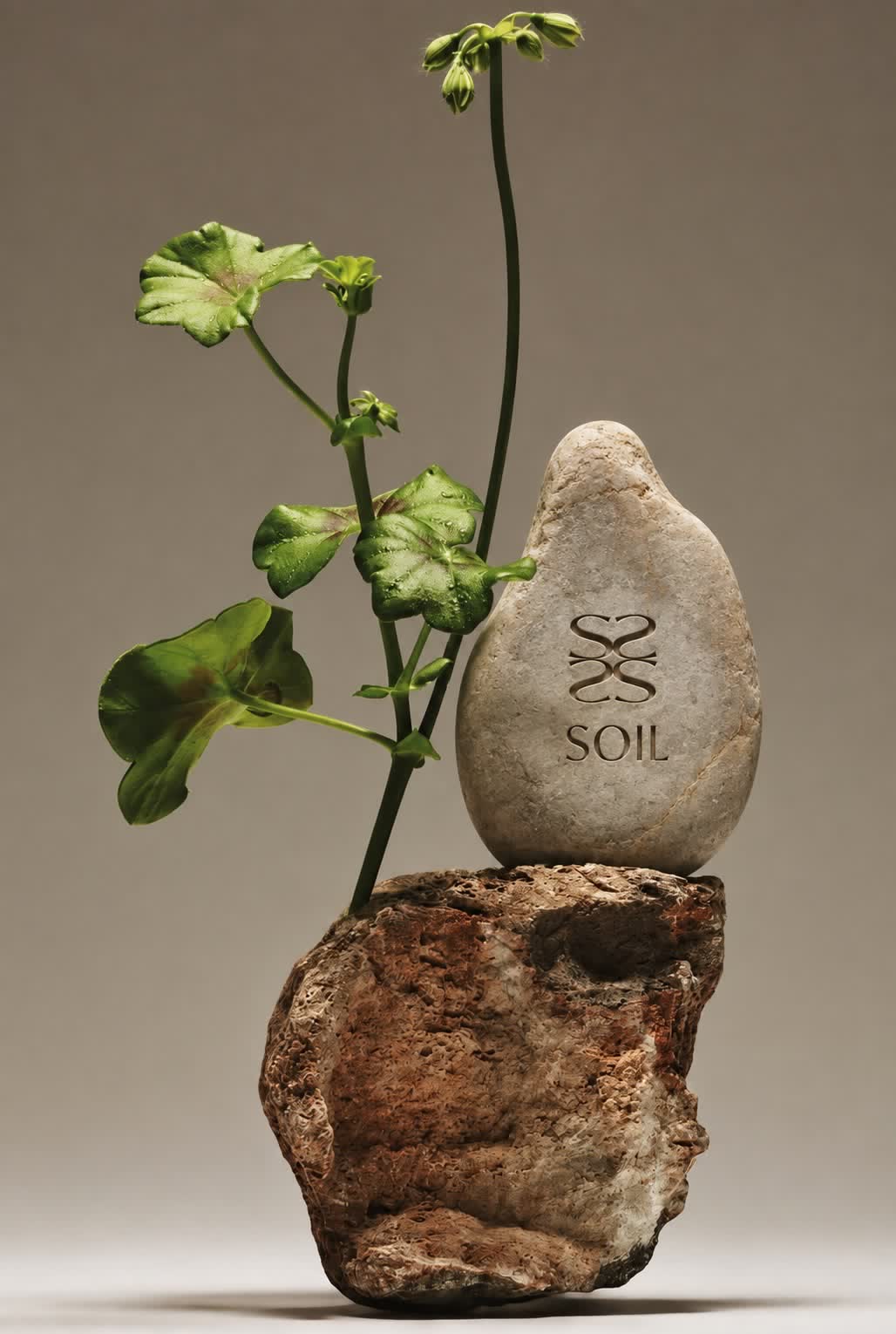 SOIL のロゴを彫った石と、ゼラニウムの枝